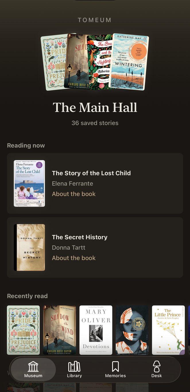 The Main Hall in Ink: umber dark, a bookshop after closing